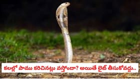 కలలో పాము కరిచినట్లు వస్తోందా? అయితే లైట్ తీసుకోవద్దు..