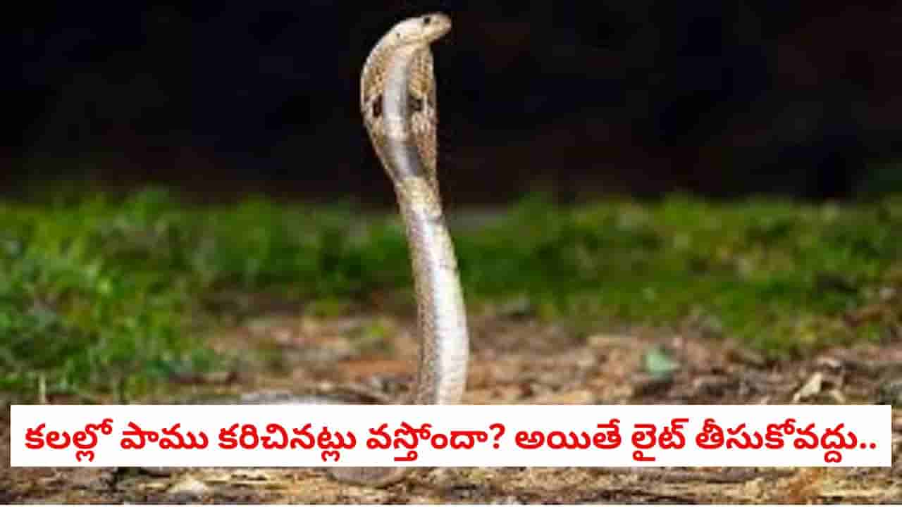 Swapna Shastra: కలలో పాము కరిచినట్లు వస్తోందా? అయితే లైట్ తీసుకోవద్దు.. దాని వెనుక ఉన్న అసలు అర్థం ఇదే!