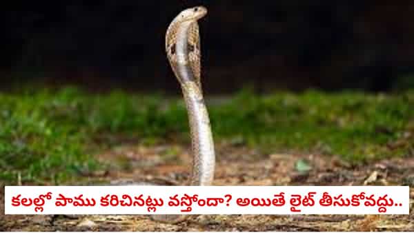 Swapna Shastra: కలలో పాము కరిచినట్లు వస్తోందా? అయితే లైట్ తీసుకోవద్దు.. దాని వెనుక ఉన్న అసలు అర్థం ఇదే!