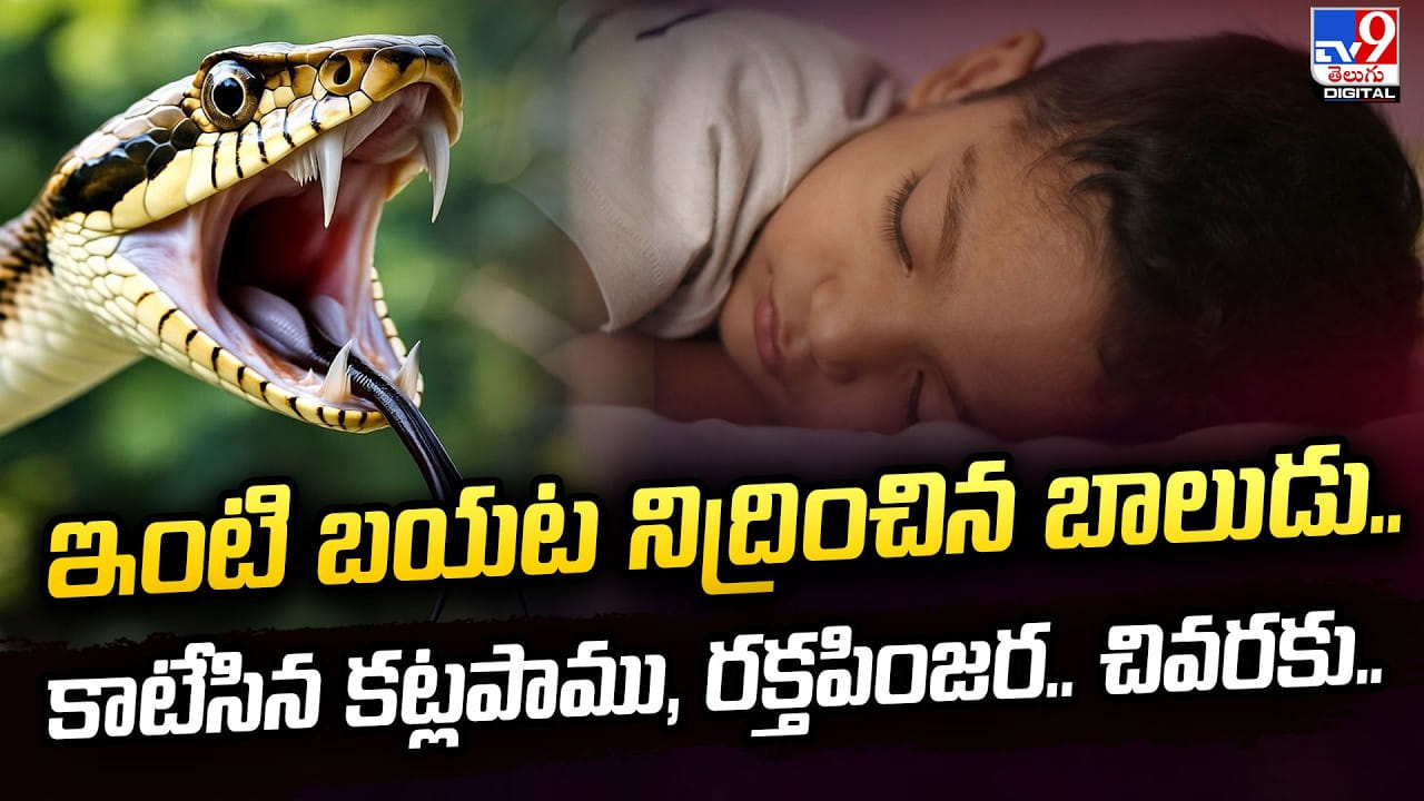 ఇంటి బయట నిద్రించిన బాలుడు.. కాటేసిన కట్లపాము, రక్తపింజర.. చివరకు