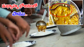 మధ్యాహ్న భోజనంలో పాము పిల్ల.. చూడకుండా తినేసిన బడి పిల్లలు!