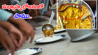 TVK ప్రభుత్వ ఏర్పాటుకు గవర్నర్ అనుమతి.. సీఎంగా విజయ్ ప్రమాణ స్వీకారం ఎప్పుడంటే?