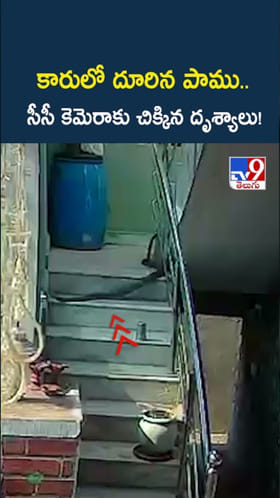Snake Video: వామ్మో.. కారులో దూరిన పాము..ఇదిగో వీడియో