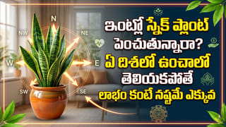 మీ శరీరంలో ప్రోటీన్ లోపం ఉందా? ఈ 5 లక్షణాలు కనిపిస్తే అస్సలు నిర్లక్ష్యం చేయకండి!
