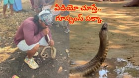 అద్భుతం.. చనిపోయింది అనుకున్న పాముకు ఊపిరి పోశాడు...