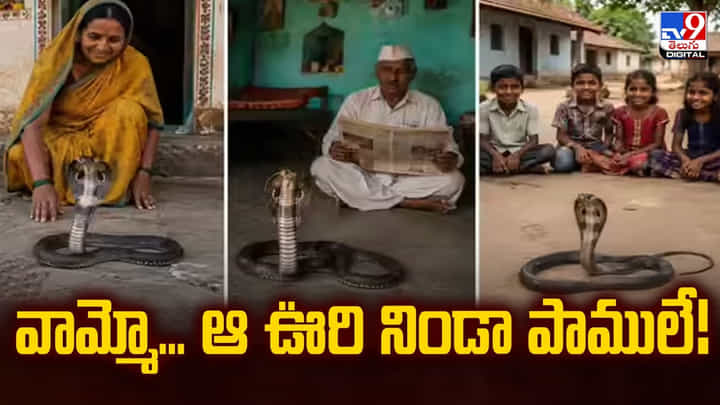 వామ్మో... ఆ ఊరి నిండా పాములే! ప్రపంచాన్ని ఆశ్చర్యపరుస్తున్న గ్రామం వామ్మో... ఆ ఊరి నిండా పాములే! ప్రపంచాన్ని ఆశ్చర్యపరుస్తున్న గ్రామం