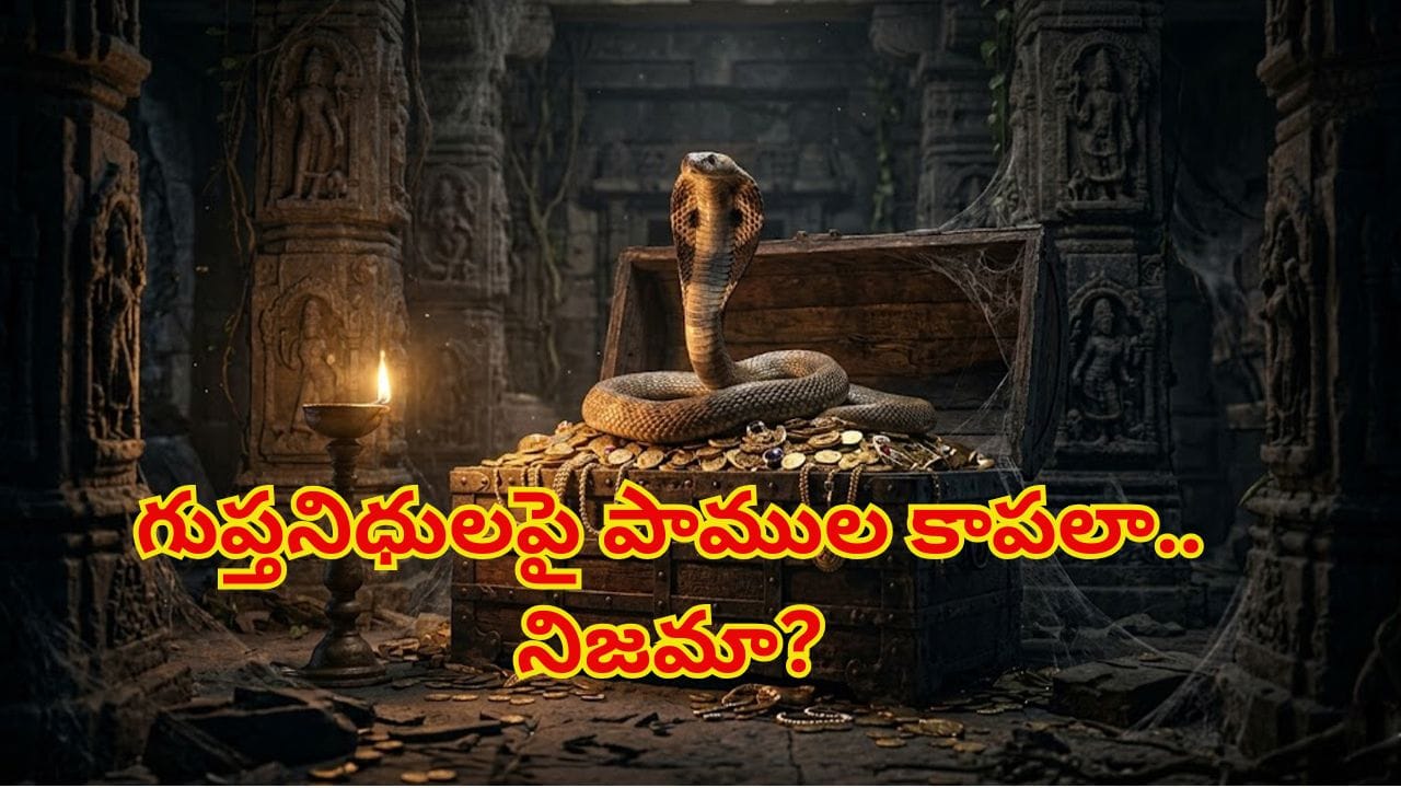 గుప్తనిధులపై పాములు నిజంగానే కాపలాగా ఉంటాయా.. నిజమా? కేవలం అపోహేనా?