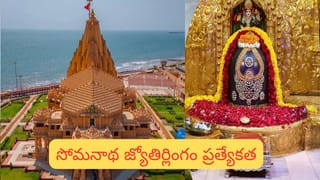 Health Tips: మార్నింగ్ లేవగానే టీ తాగుతున్నారా?.. ఇది తెలియపోతే మీరు డెంజర్‌లో పడ్డట్టే!