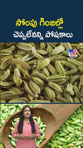 Fennel Seeds: సోంపు గింజ‌ల్లో చెప్పలేనన్ని పోషకాలు