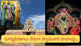దేవతలు నిర్మించిన ఆలయం.. ఒక్క దర్శనంతో కోరికలు తీర్చే సౌమ్యనాథుడు