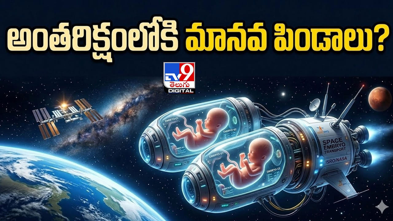 అంతరిక్షంలో మనిషి పుట్టుకకు తొలి అడుగు.. చైనా సంచలన ప్రయోగం వెనక అసలు కథ అంతరిక్షంలో మనిషి పుట్టుకకు తొలి అడుగు.. చైనా సంచలన ప్రయోగం వెనక అసలు కథ