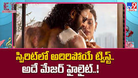 స్పిరిట్‌లో అదిరిపోయే ట్విస్ట్.. అదే మేజర్ హైలైట్