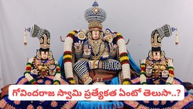 గోవిందరాజ స్వామి బ్రహ్మోత్సవాలు.. ఈ వాహన సేవల మహిమ తెలుసా..?