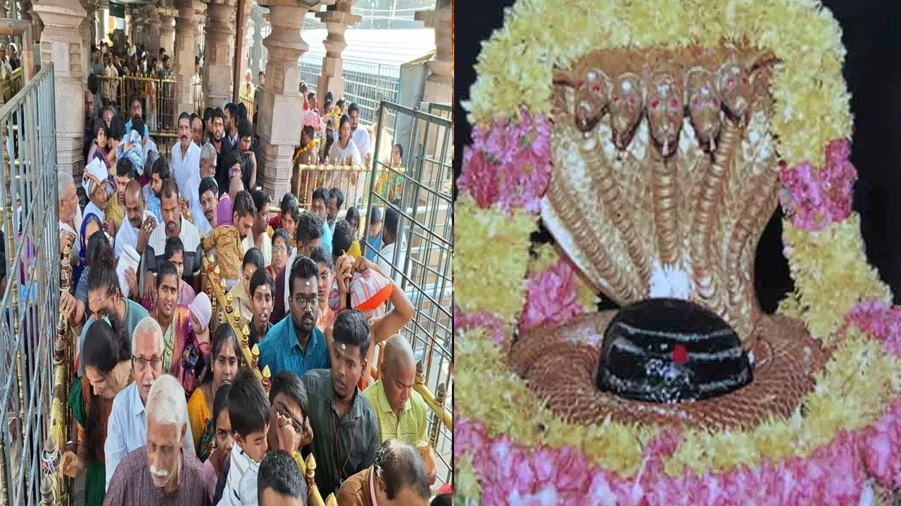 ఇంకా ఆస్ట్రేలియా డాలర్లు 35, కత్తార్ రియాల్స్ 5, సింగపూర్ డాలర్లు 2 మొదలైన వివిధ దేశాల విదేశీ కరెన్సీ ఈ హుండీ లెక్కింపులో లభించాయి పటిష్టమైన నిఘా నేత్రాల మధ్య హుండీ లెక్కింపు జరగగా ఈ హుండీ లెక్కింపులో ఈవో శ్రీనివాసరావు,దేవస్థానం అన్ని విభాగాలకు చెందిన అధికారులు,సిబ్బంది,శివసేవకులు పాల్గొన్నారు.