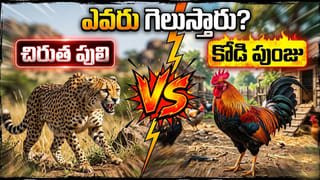 ఆశ చూపించాడు.. బ్లాక్ మనీ అంటే ‘నల్ల రంగు’ నోట్లనుకున్నాడు.. ట్విస్ట్ అదిరింది బాసూ..!