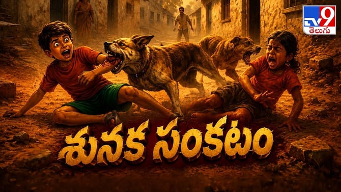 వీధికుక్కల బెడద... అత్యంత వేదనాభరితం