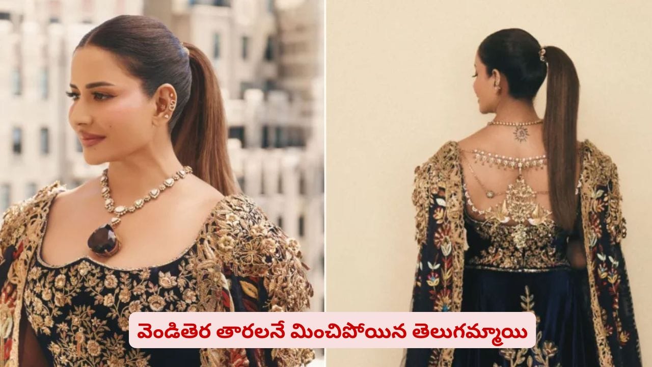 మెట్ గాలాలో మెరిసిన హైదరాబాద్‌ ‘క్వీన్’ ధరించిన నెక్లెస్ అన్ని వందల కోట్లా?