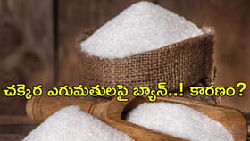 చక్కెర ఎగుమతులపై బ్యాన్‌..! కారణం?