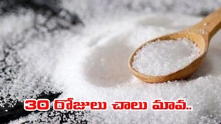 30 డేస్ నో షుగర్ ఛాలెంజ్.. శరీరంలో అద్భుతాలే జరుగుతాయ్.. అస్సలు నమ్మలేరు