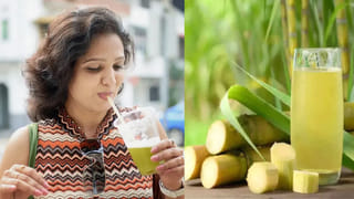 Tulsi for Diabetes Control: ప్రతిరోజూ తులసి ఆకు నమిలితే షుగర్ కంట్రోల్ అవుతుందా?