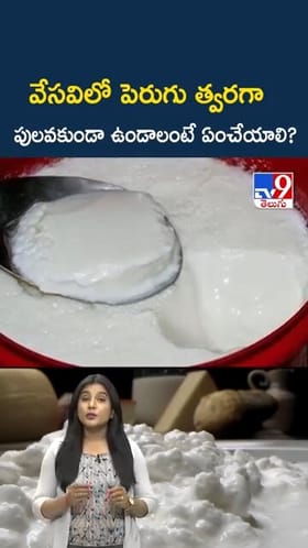 వేస‌విలో పెరుగు త్వ‌ర‌గా పుల‌వ‌కుండా ఉండాలంటే ఏం చేయాలి?