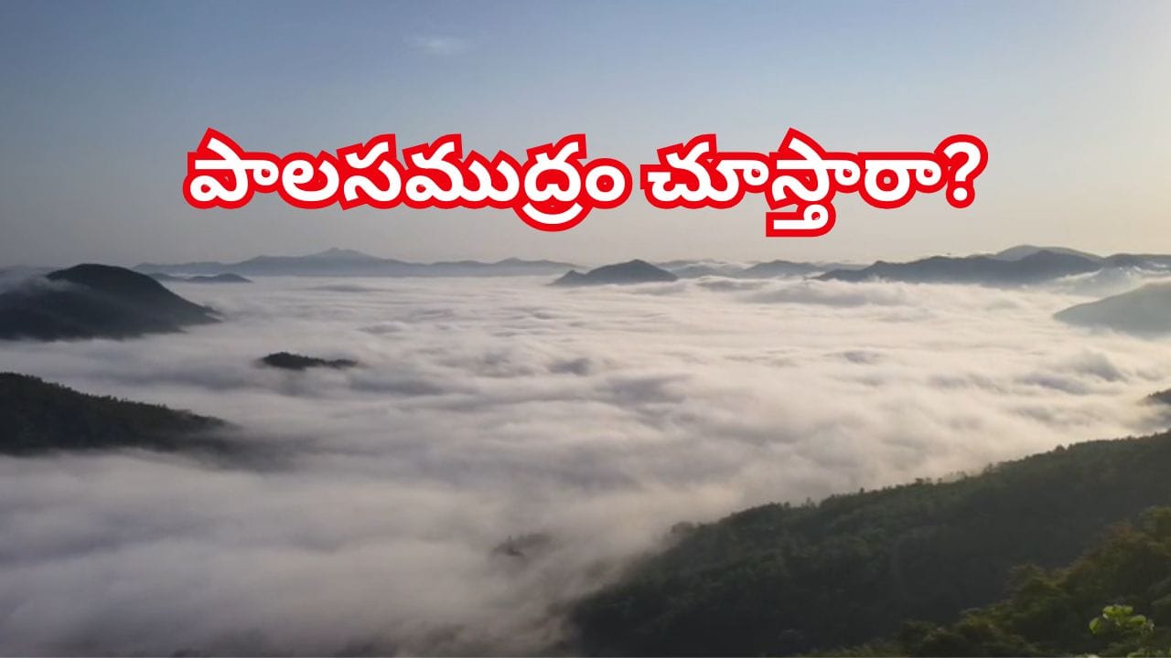 ఆహా.. ఏముంది సీన్..వేసవిలో మంచు విందు..పాల సముద్రాన్ని తలపిస్తున్న ప్రకృతి సోయగాలు..ఎక్కడో తెలుసా?