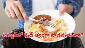 వేసవిలో వండిన ఆహారం ఎంతసేపటికి పాడవుతుంది.. ఎందుకు?