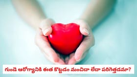 గుండె ఆరోగ్యానికి ఈత కొట్టడం మంచిదా లేదా పరిగెత్తడమా?
