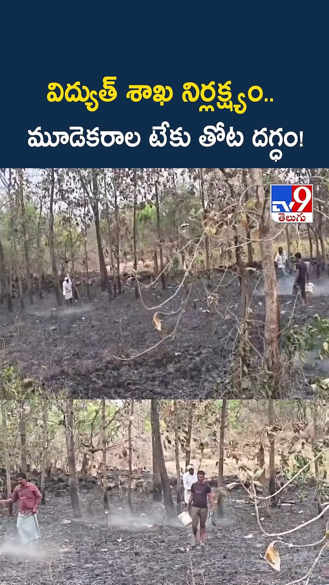 విద్యుత్ శాఖ నిర్లక్ష్యం..మూడెకరాల టేకు తోట బుగ్గిపాలు..!
