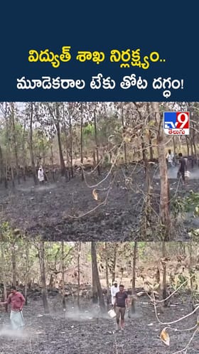 విద్యుత్ శాఖ నిర్లక్ష్యం..మూడెకరాల టేకు తోట బుగ్గిపాలు..!