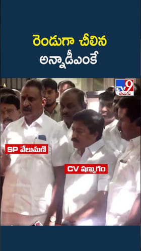 రెండుగా చీలిన అన్నాడీఎంకే.. విజయ్‌కి పెరిగిన బలం