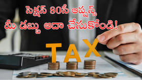మీ కష్టార్జితం కాపాడే సెక్షన్ 80సీ ఆప్షన్స్‌ ఇవే!