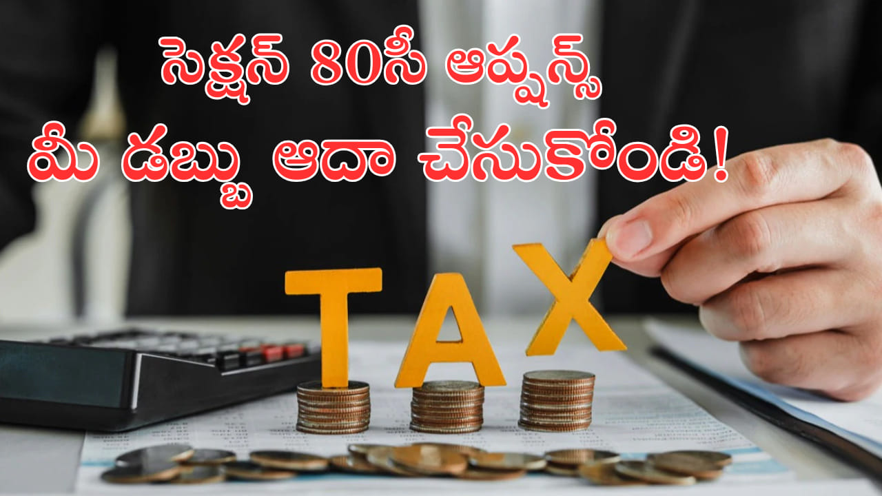 పన్ను ఆదా చేయాలనుకుంటున్నారా? మీ కష్టార్జితం కాపాడే సెక్షన్ 80సీ ఆప్షన్స్ ఇవే!