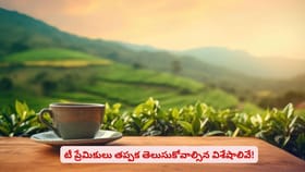టీ ప్రేమికులు తప్పక తెలుసుకోవాల్సిన విశేషాలివే!