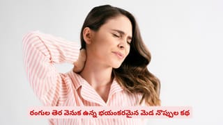 ఏసీ గాలి ప్రాణాలు తీస్తుందా? కూలర్లు, ఏసీలో ఉండేవాళ్లు ఈ నిజాలు తెలుసుకోండి
