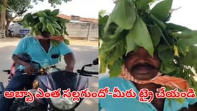 అబ్బా సల్లగుంది..! ఎండ దెబ్బకు తట్టుకోవాలంటే మీరు ఇలా చేయండి