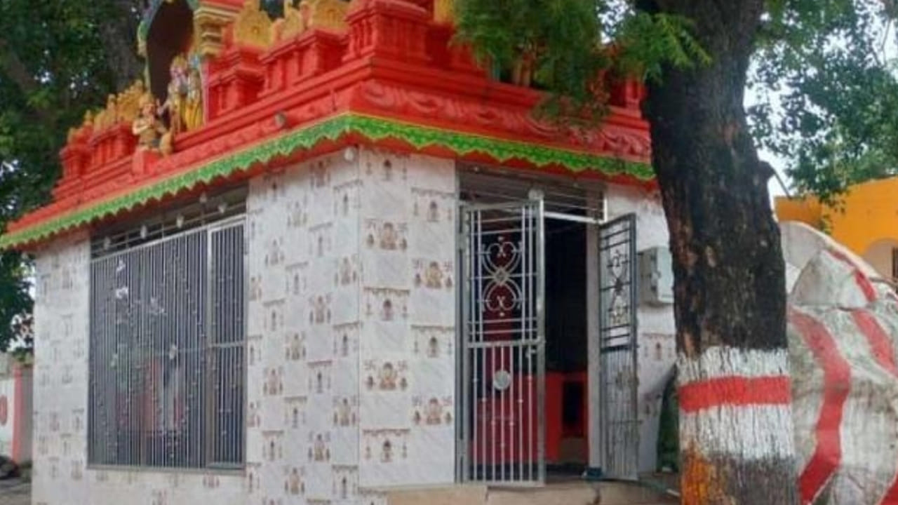 ఈ గ్రామంలో అడుగుపెట్టగానే ఆధ్మాత్మిక వాతవరణం కనబడుతుంది. ప్రతి ఆలయంలో ప్రత్యేక పూజలు జరుగుతున్నాయి. గతంలో కూడా ఇక్కడ స్వయంభూ ఆలయాలు ఉన్నాయి. అయితే, స్థానికులే ఎక్కువగా ఆలయాలు నిర్మించారు. ఇక్కడ ప్రతి పర్వదినం ఘనంగా నిర్వహించుకుంటున్నారు. వెల్లుల్ల గ్రామాన్ని.. దేవాలయాల గ్రామంగా పిలుస్తున్నారు. 
