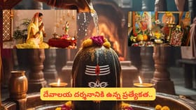 Pooja Benefits: గుడి పూజ vs ఇంటి పూజ.. ఏది ఎక్కువ పుణ్యం ఇస్తుంది