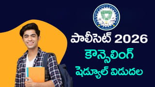 Video: రాజసం ఉట్టిపడేలా.. నల్లమల అడవుల్లో స్వేచ్ఛగా విహరిస్తున్న బెంగాల్ టైగర్!