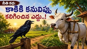 నీతి కథ: ఎద్దు న్యాయం..కష్టపడే వారికే తెలుస్తుంది కష్టంలోని ఆనందం