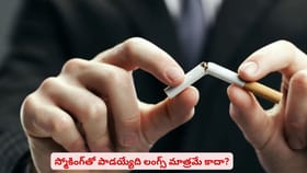 స్మోకింగ్‌తో పాడయ్యేది లంగ్స్ మాత్రమే కాదా?