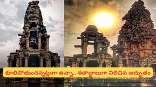 Watch Video: చెరుకు తోటలో ఎయిర్‌క్రాఫ్ట్‌ ఎమర్జెన్సీ ల్యాండింగ్.. దగ్గరకెళ్లి చూడగా..