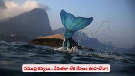 సముద్ర కన్యలు.. దేవతలా లేక కేవలం ఊహలేనా?