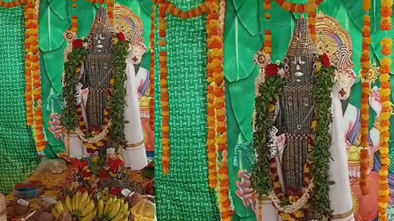ఈ నెల 29, 30 తేదీల్లో గ్రామంలో స్వామివారి విగ్రహాన్ని వేడుకగా ఊరేగించి, అనంతరం 30వ తేదీన ద్వారకా తిరుమల శ్రీవారి ఆలయ అధికారులకు అందజేయనున్నట్లు ఆయన వెల్లడించారు. భక్తుల సందర్శనార్థం ఆలయ అధికారులు ఈ విగ్రహాన్ని అక్కడ ప్రతిష్టిస్తారని ఆయన ఆశాభావం వ్యక్తం చేశారు. నాణాలతో కొలువుదీరిన ఈ నారాయణుడిని చూడటం ఒక విలక్షణమైన అనుభూతిని కలిగిస్తోందని స్థానిక భక్తులు హర్షం వ్యక్తం చేస్తున్నారు.