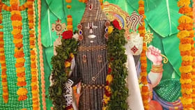 నాణాలతో నారాయణుడు ..చూడటానికీ రెండు కళ్లు చాలవే..
