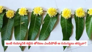 అరుణాచల గిరి ప్రదక్షిణ: ఆరంభ స్థానం, దాని ప్రాముఖ్యత