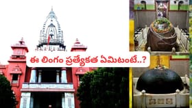 రోజురోజుకు పెరుగుతున్న మహా శివలింగం.. 2000 ఏళ్ల మిస్టరీ ఇదే..!