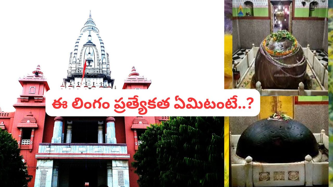 2 వేల ఏళ్లుగా పెరుగుతూనే ఉన్న శివలింగం.. ఈ అద్భుత క్షేత్రం రహస్యం తెలుసా..?