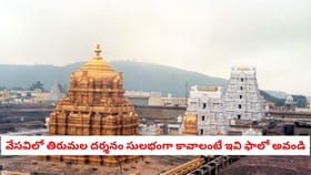 వేసవిలో తిరుమల దర్శనం సులభంగా కావాలంటే ఇవి ఫాలో అవండి
