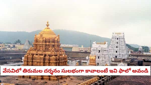 Tirumala Summer Guide: వేసవిలో కూడా తిరుమల శ్రీవారి దర్శనం సులభంగా కావాలా? అయితే ఇలా చేయండి